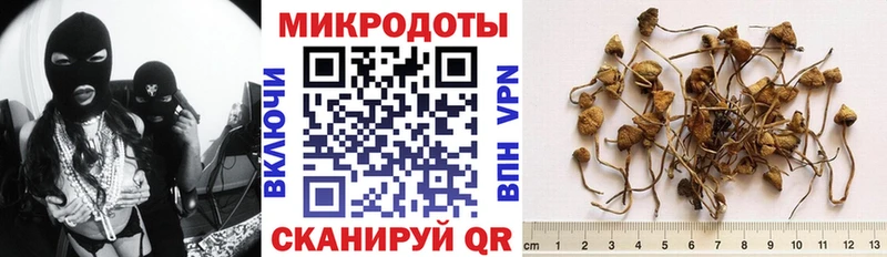 Купить  Беслан  Псилоцибиновые грибы Psilocybine cubensis 